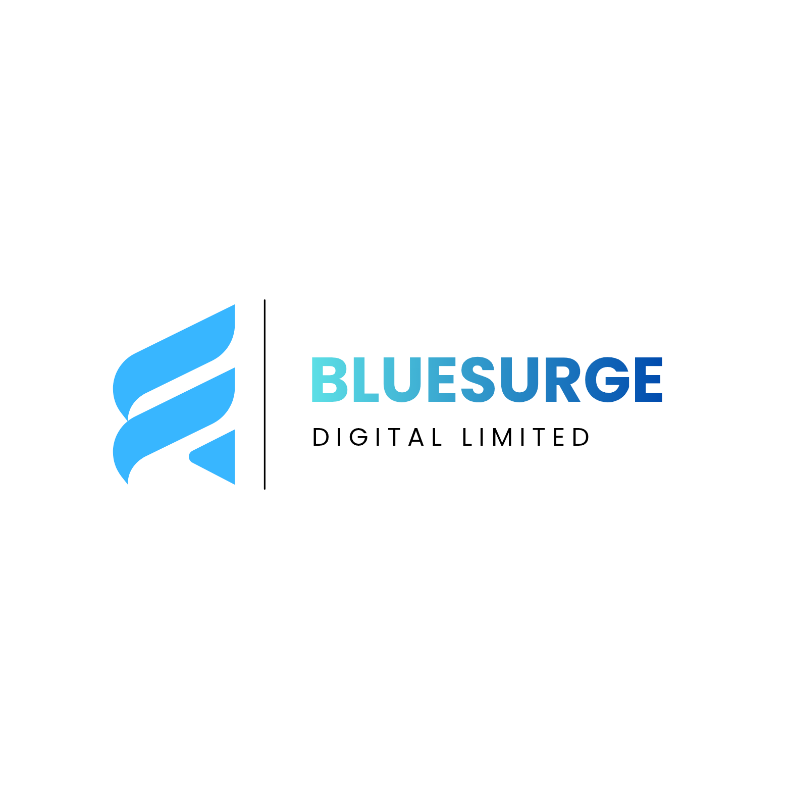 Bluesurge Digital Limited
